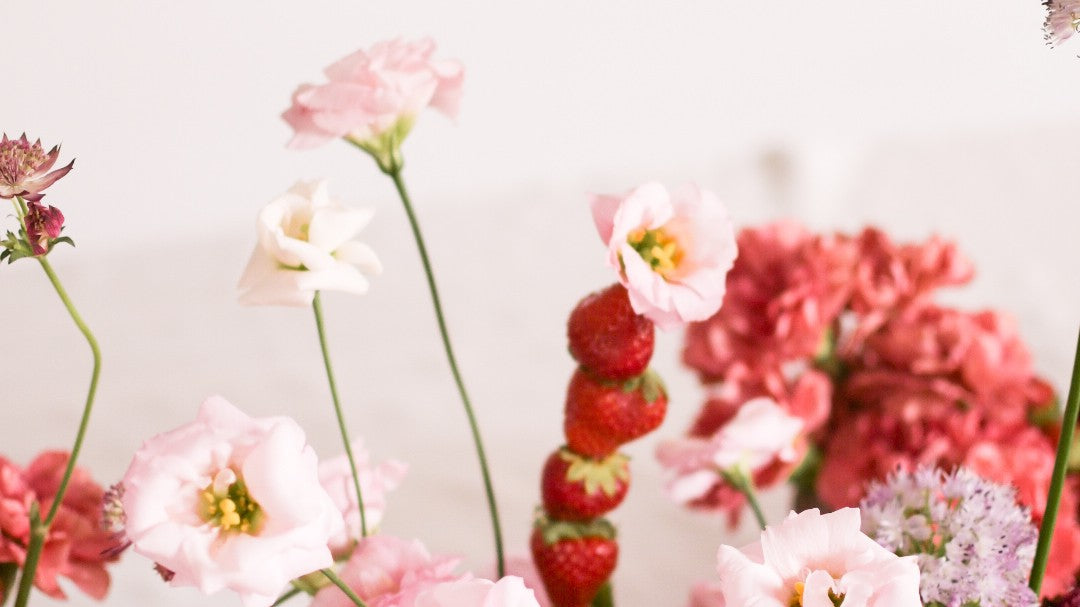 STUDIO FOLIAGE