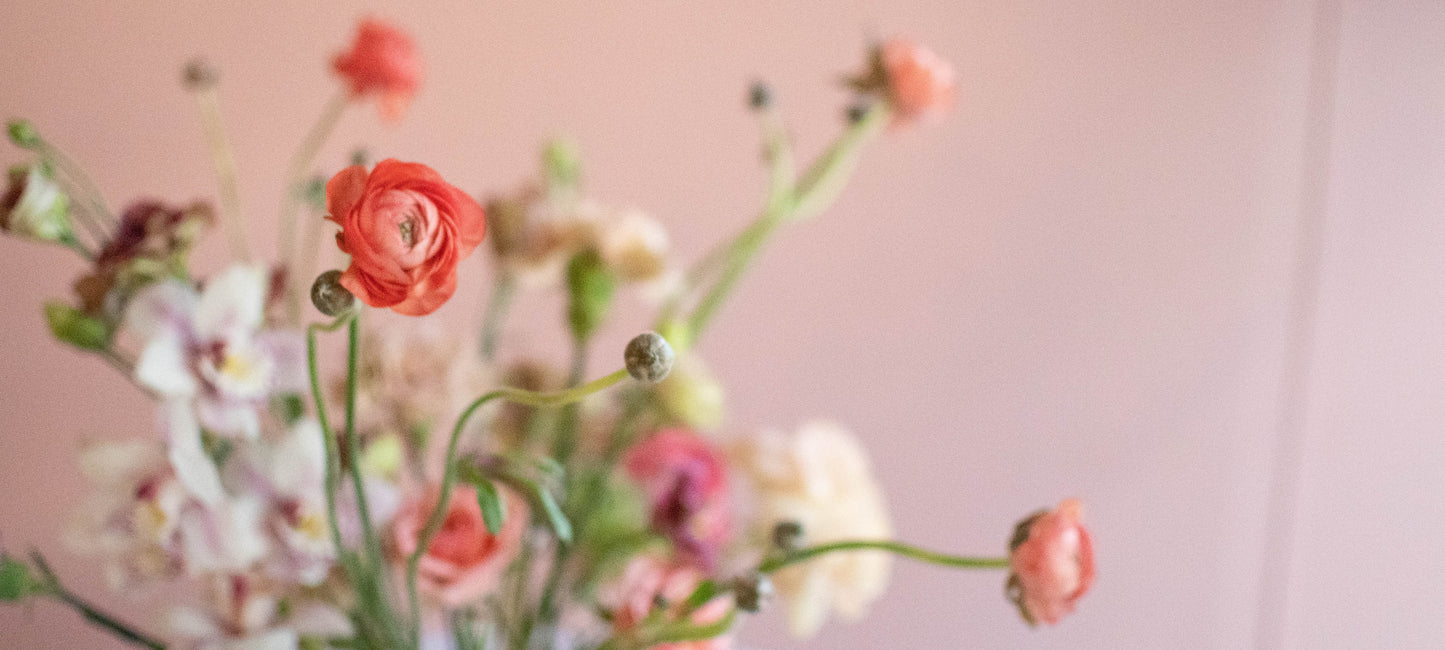 STUDIO FOLIAGE