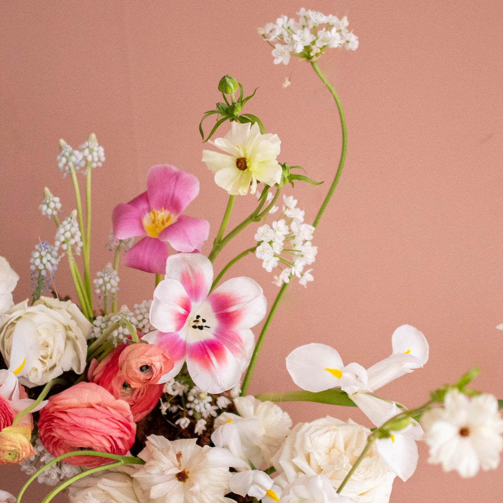 STUDIO FOLIAGE