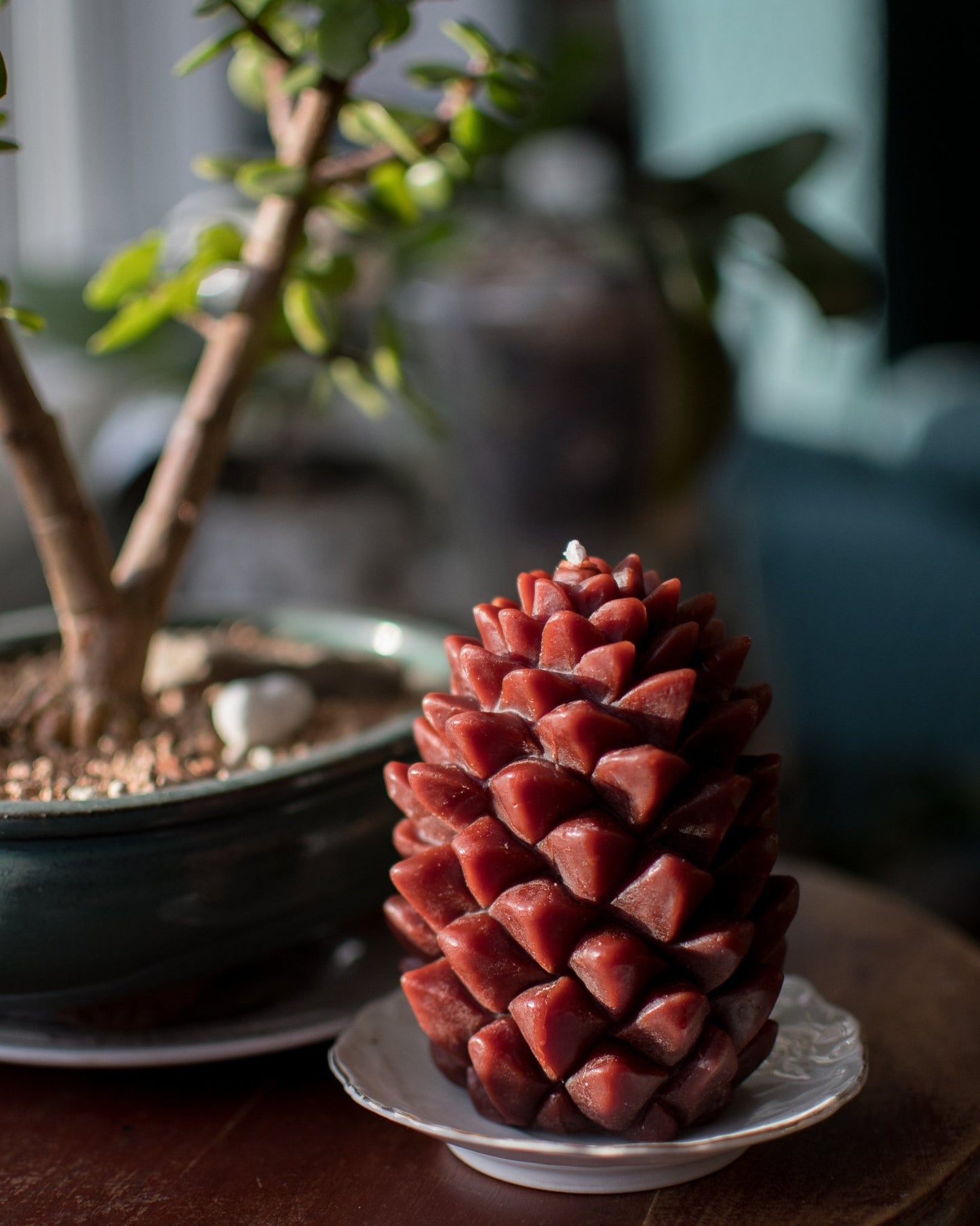 
                  
                    Ponderosa Pine Cone Beeswax Candles - Honey Candles - Candles - STUDIO FOLIAGE
                  
                
