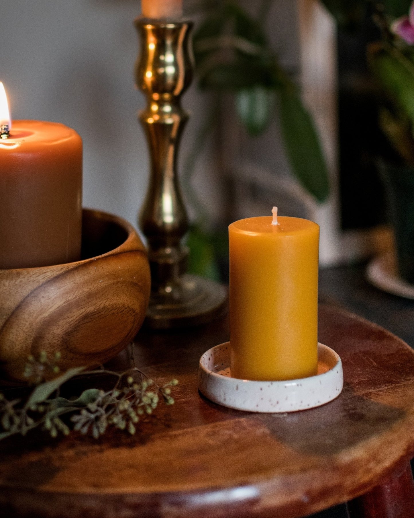 
                  
                    Small Pillar Beeswax Candle - Honey Candles - Candles - STUDIO FOLIAGE
                  
                
