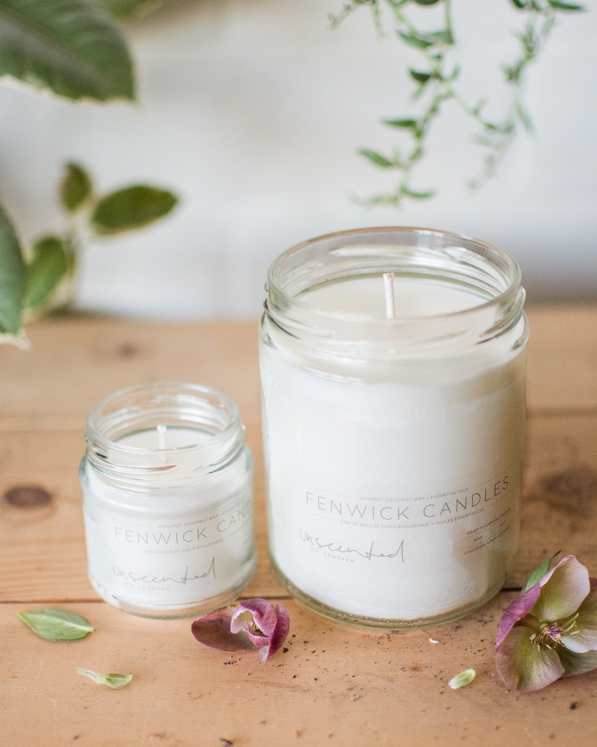 
                  
                    Unscented Candle - Fenwick Candles - Candles - STUDIO FOLIAGE
                  
                